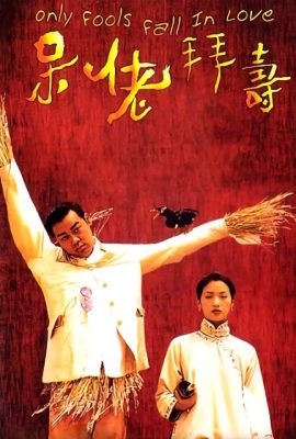 Poster phim Kẻ ngốc mới yêu – Only Fools Fall in Love (1995)